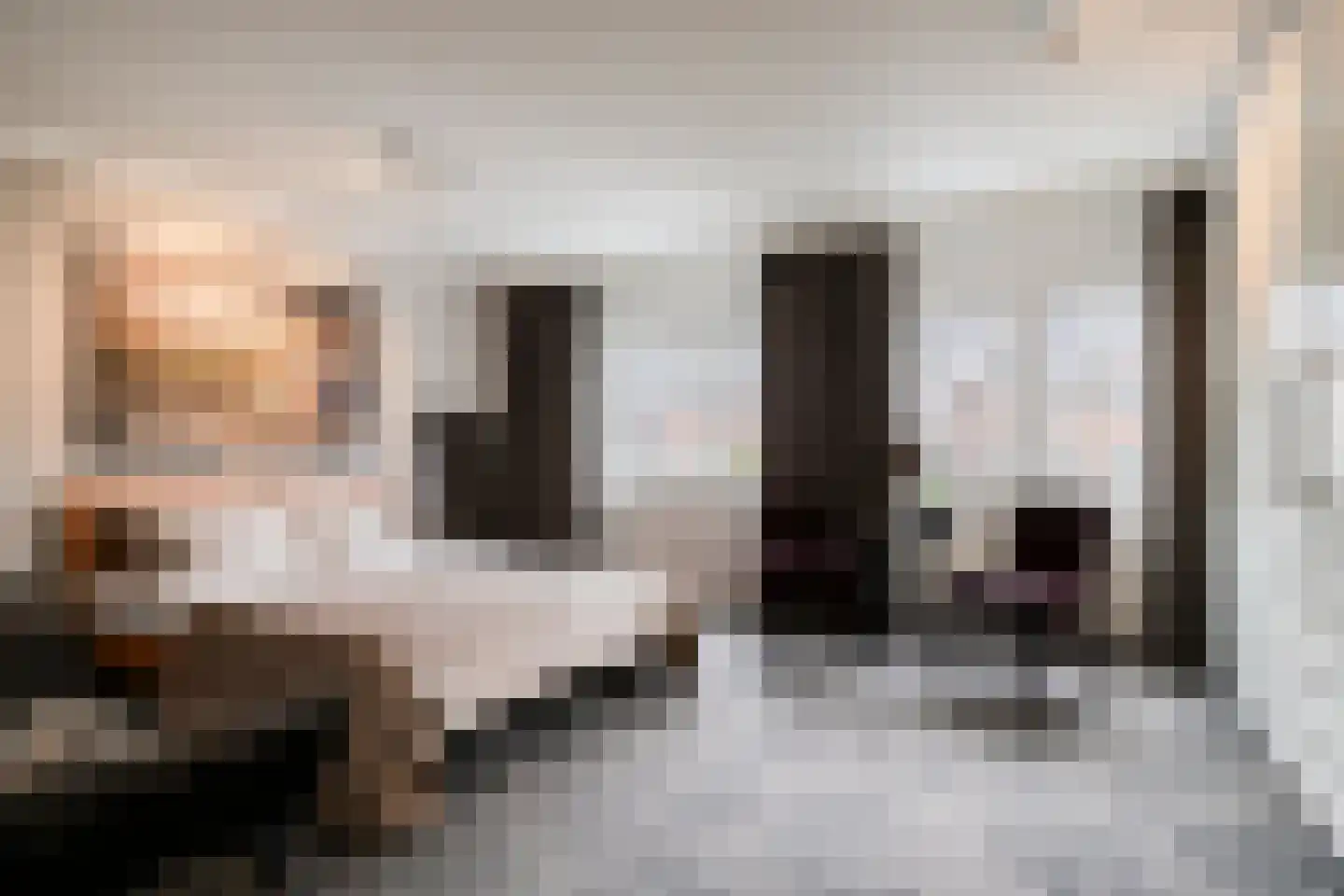Statenlaan 24 Helmond thumbnail 25