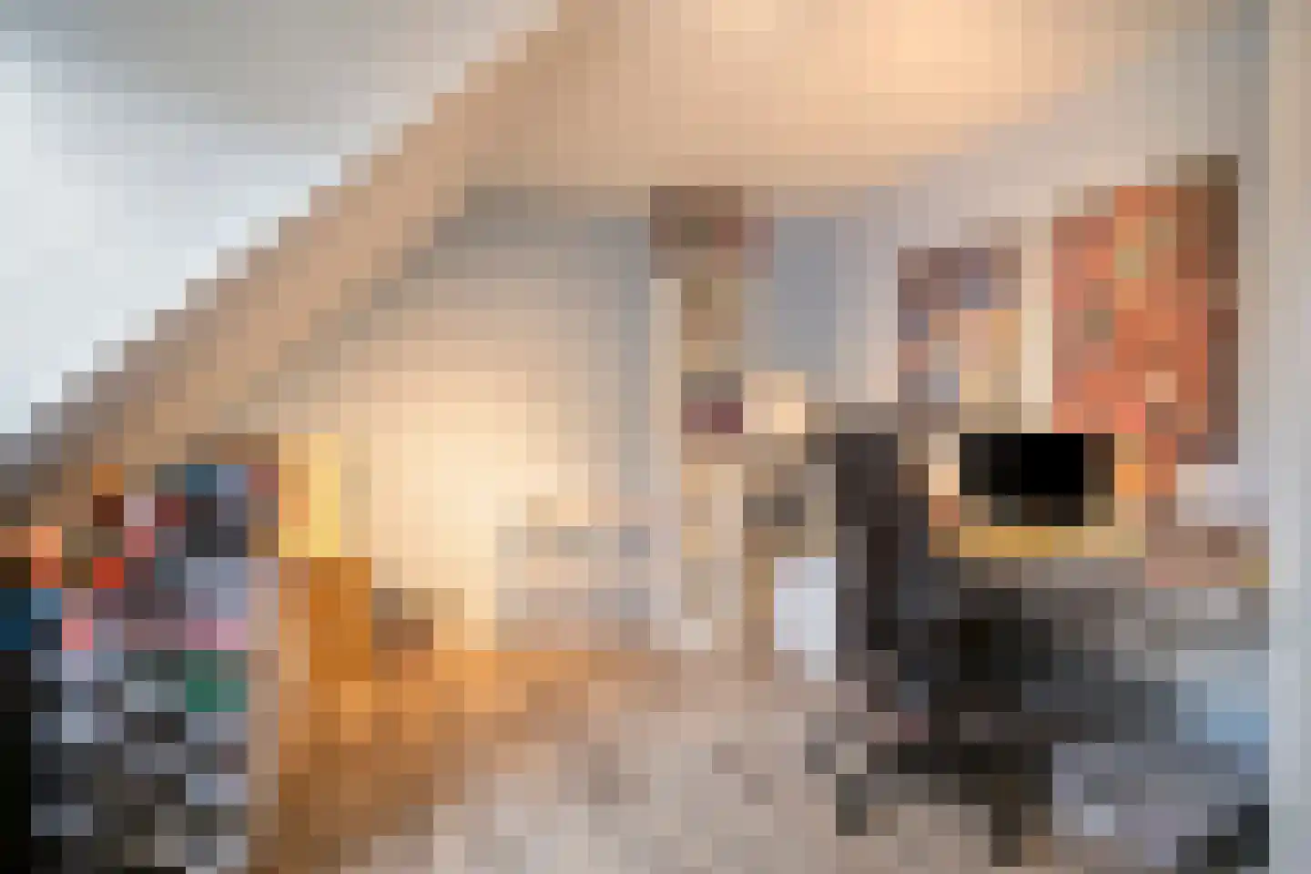 Statenlaan 24 Helmond thumbnail 34