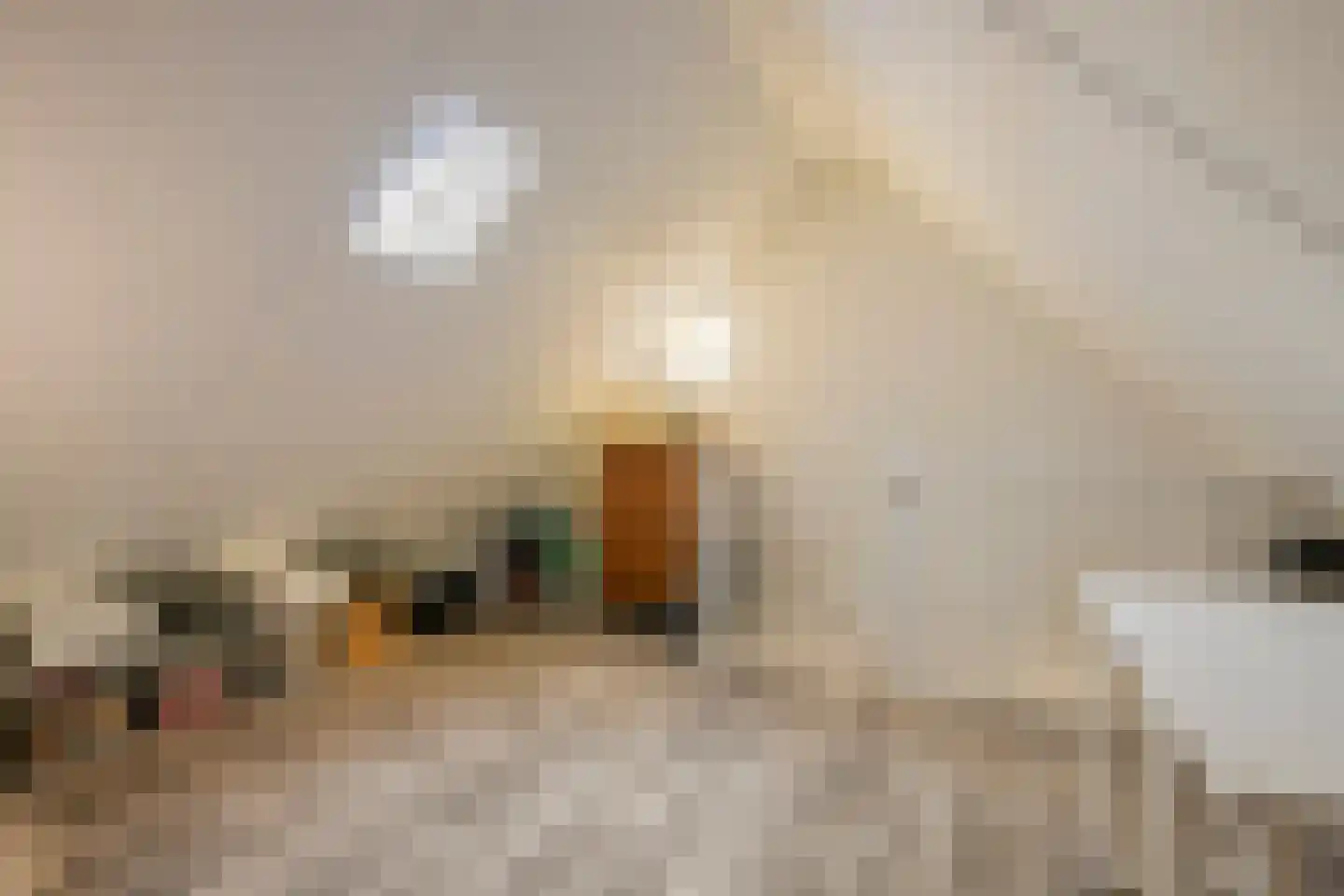 Statenlaan 24 Helmond thumbnail 36