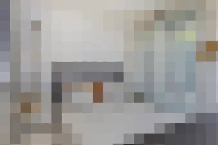 Statenlaan 255 's-Hertogenbosch thumbnail 15