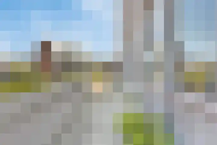 Statenlaan 255 's-Hertogenbosch thumbnail 19