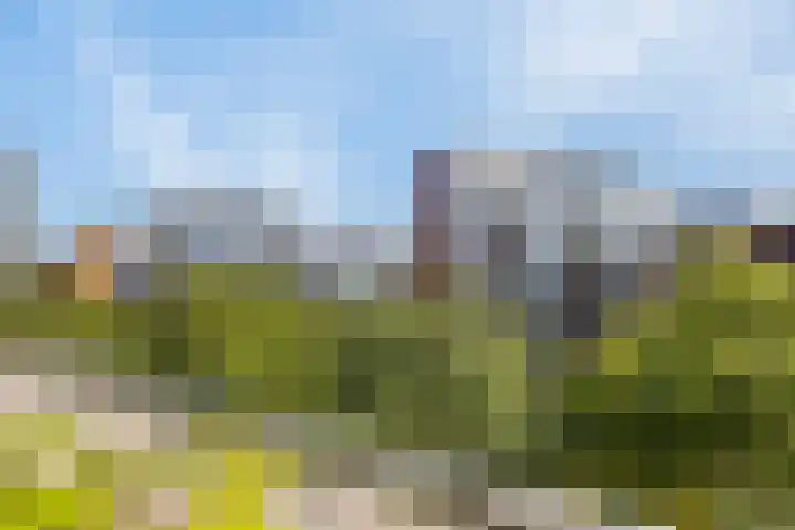 Statenlaan 255 's-Hertogenbosch thumbnail 21