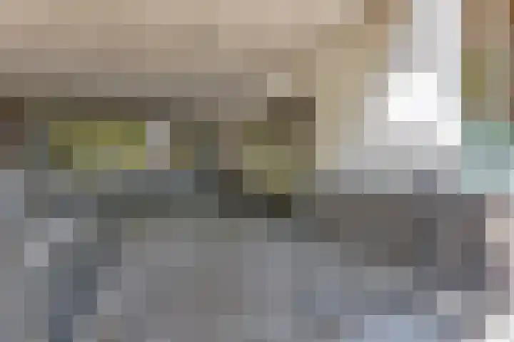 Statenlaan 255 's-Hertogenbosch thumbnail 24