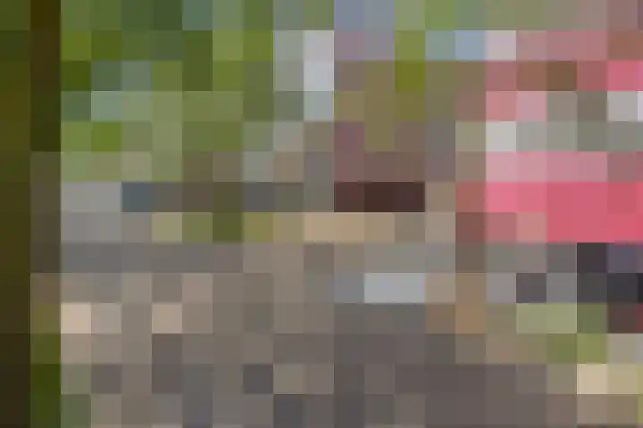 Statenlaan 255 's-Hertogenbosch thumbnail 26