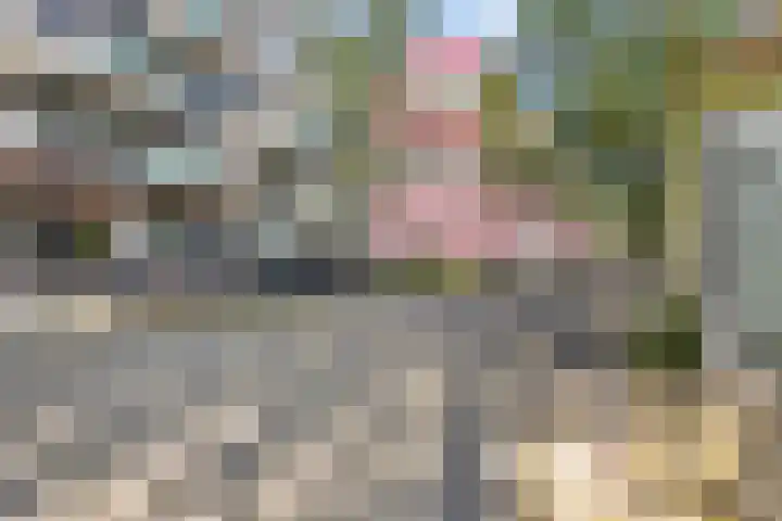 Statenlaan 255 's-Hertogenbosch thumbnail 28