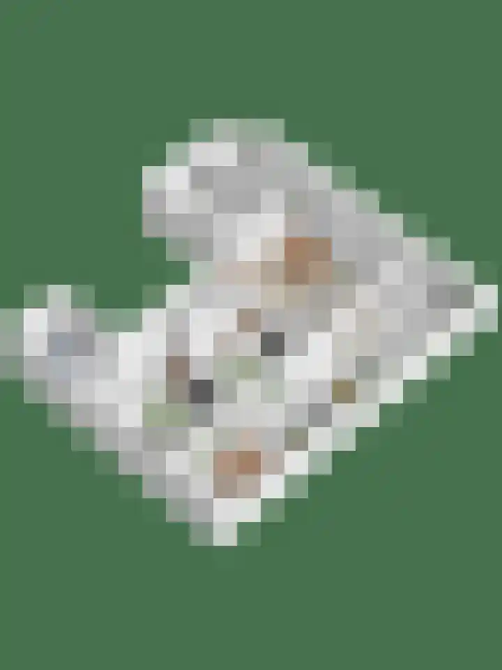 Statenlaan 255 's-Hertogenbosch thumbnail 30
