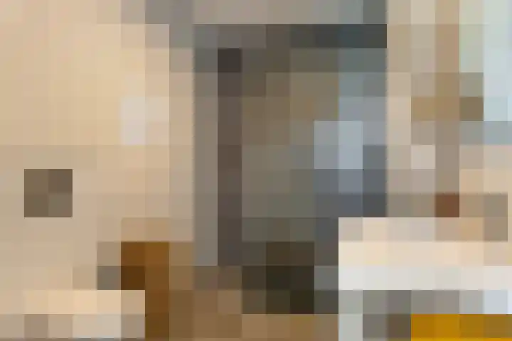 Statenlaan 255 's-Hertogenbosch thumbnail 5