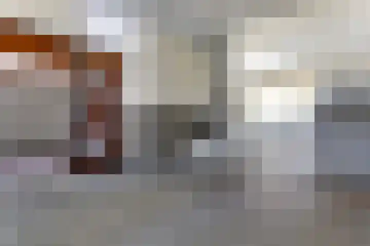Statenlaan 255 's-Hertogenbosch thumbnail 7