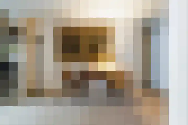 Statenlaan 259 Tilburg thumbnail 15