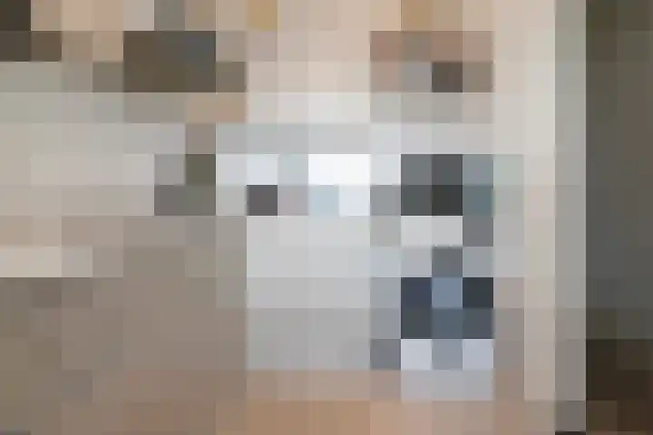 Statenlaan 259 Tilburg thumbnail 20