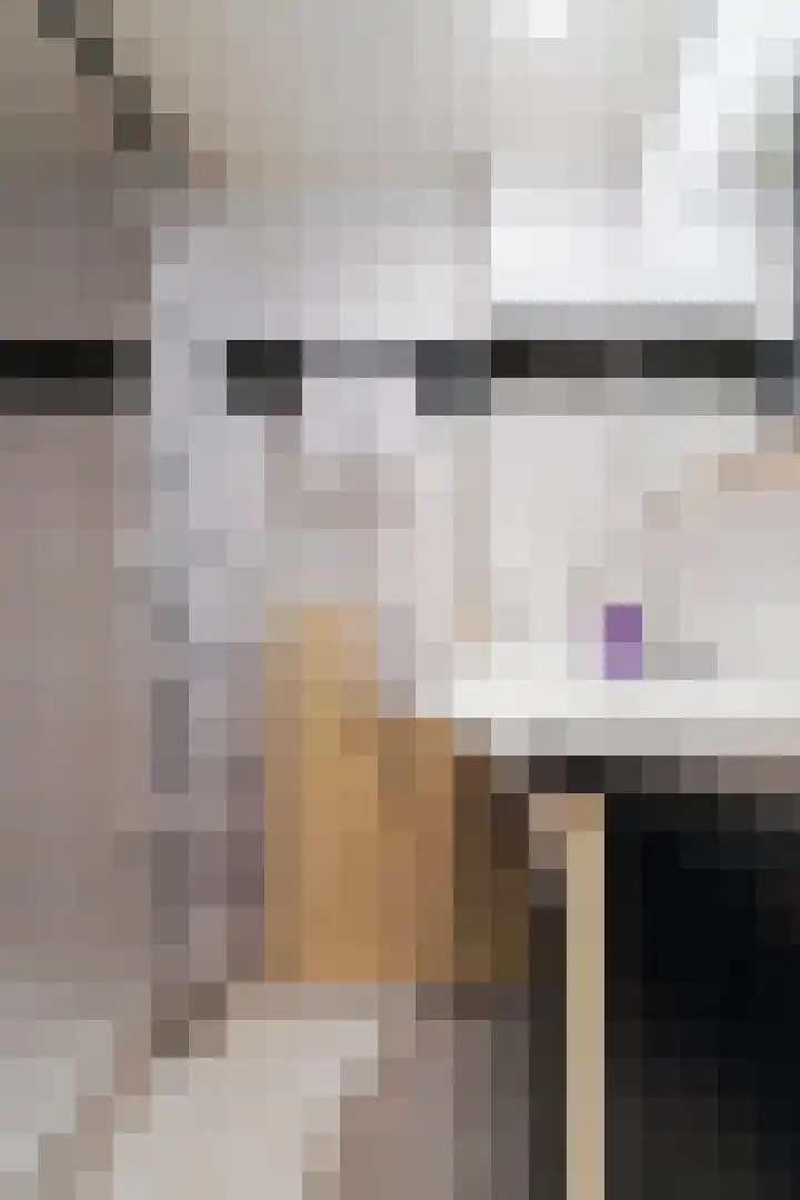 Statenlaan 259 Tilburg thumbnail 29