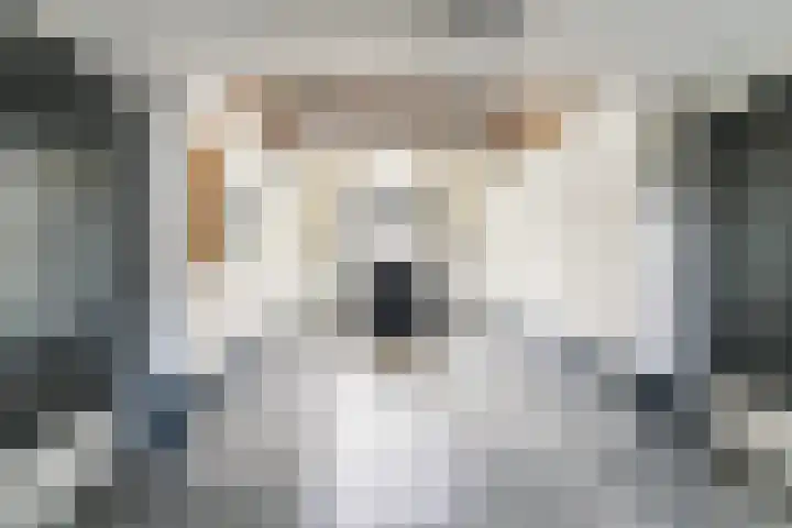 Statenlaan 259 Tilburg thumbnail 32