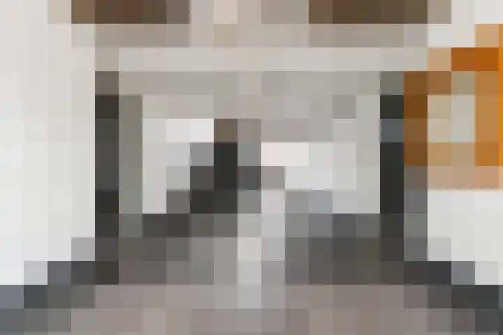 Statenlaan 259 Tilburg thumbnail 33