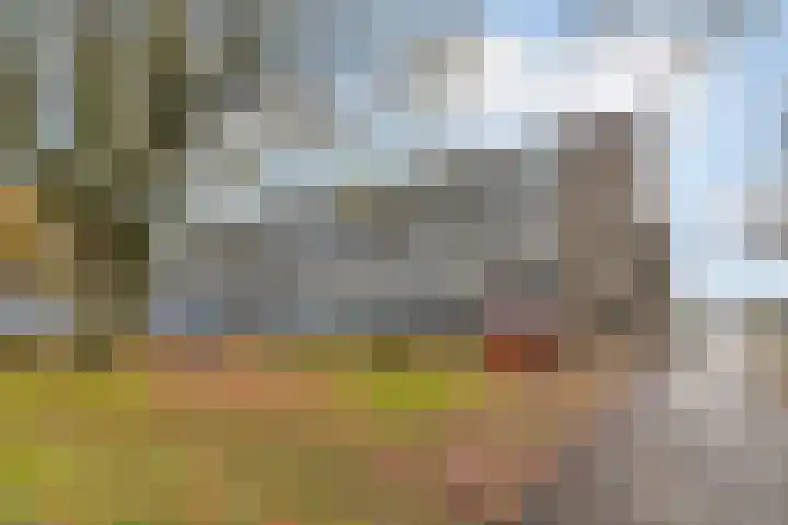 Statenlaan 259 Tilburg thumbnail 35