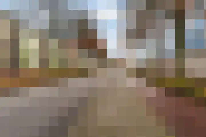 Statenlaan 259 Tilburg thumbnail 39