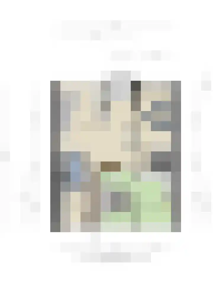 Statenlaan 259 Tilburg thumbnail 40