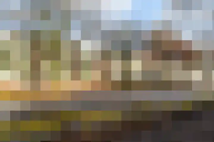 Statenlaan 259 Tilburg thumbnail 5