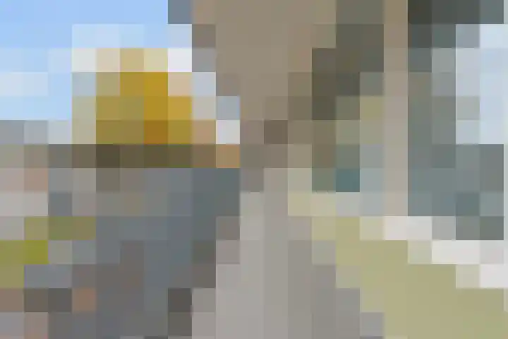 Statenlaan 259 Tilburg thumbnail 7