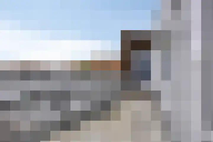 Statenlaan 275 's-Hertogenbosch thumbnail 23