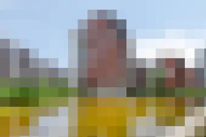 Statenlaan 275 's-Hertogenbosch thumbnail 26