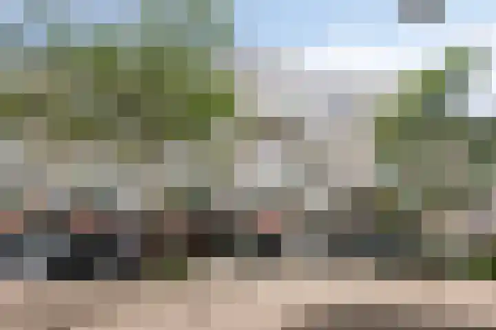 Statenlaan 275 's-Hertogenbosch thumbnail 6