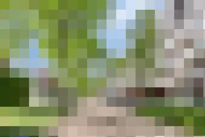 Statenlaan 275 's-Hertogenbosch thumbnail 7