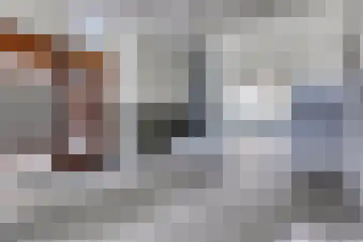 Statenlaan 275 's-Hertogenbosch thumbnail 8