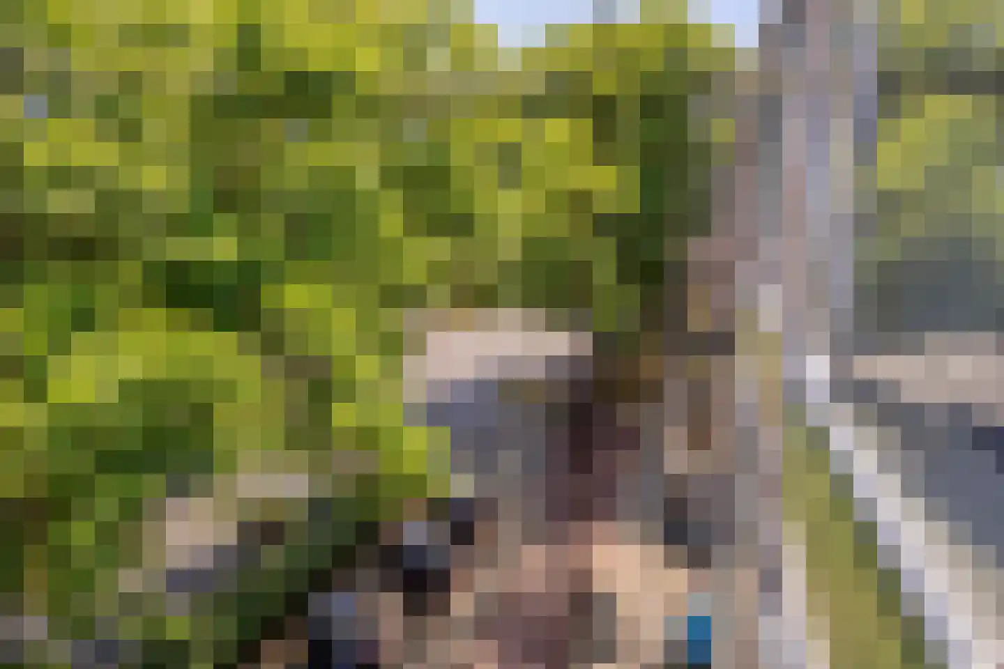 Statenlaan 289 Tilburg thumbnail 24