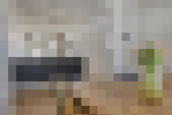 Statenlaan 293 's-Hertogenbosch thumbnail 12
