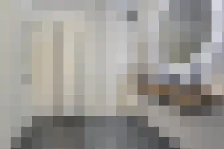 Statenlaan 293 's-Hertogenbosch thumbnail 17