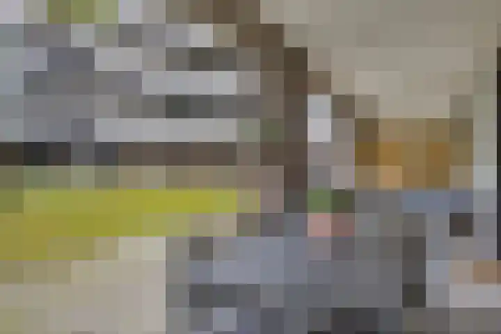 Statenlaan 293 's-Hertogenbosch thumbnail 20