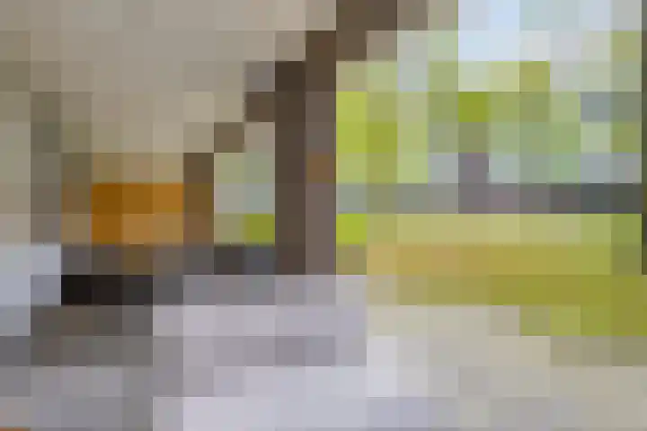 Statenlaan 293 's-Hertogenbosch thumbnail 21