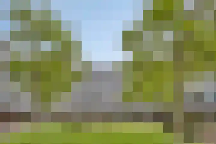 Statenlaan 293 's-Hertogenbosch thumbnail 24