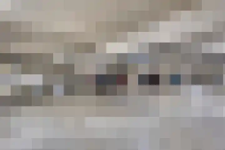 Statenlaan 293 's-Hertogenbosch thumbnail 26