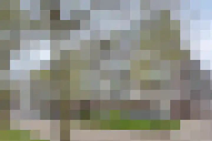 Statenlaan 293 's-Hertogenbosch thumbnail 29