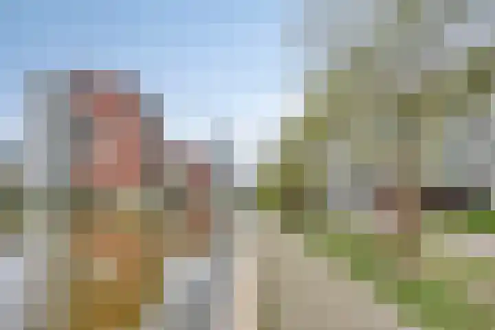Statenlaan 293 's-Hertogenbosch thumbnail 31