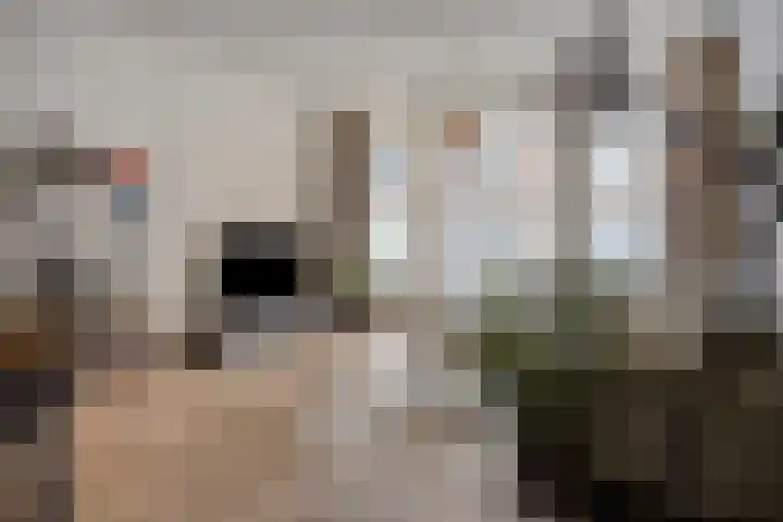 Statenlaan 293 's-Hertogenbosch thumbnail 5