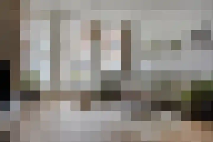 Statenlaan 293 's-Hertogenbosch thumbnail 6