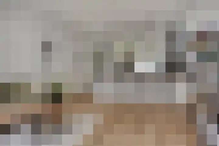 Statenlaan 293 's-Hertogenbosch thumbnail 7