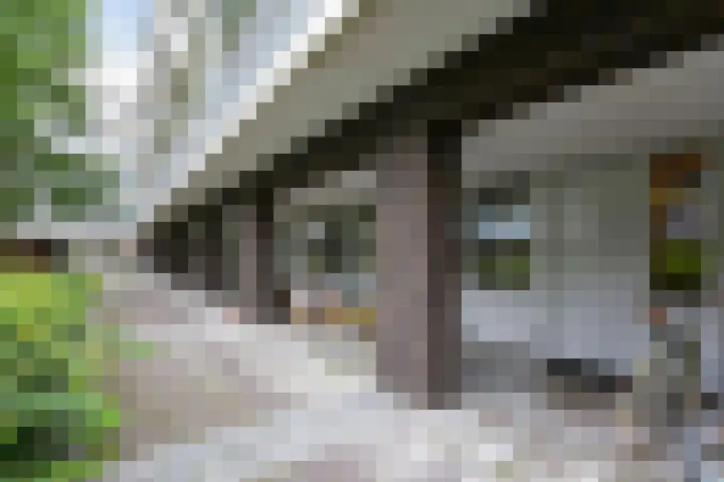 Statenlaan 297 's-Hertogenbosch thumbnail 29