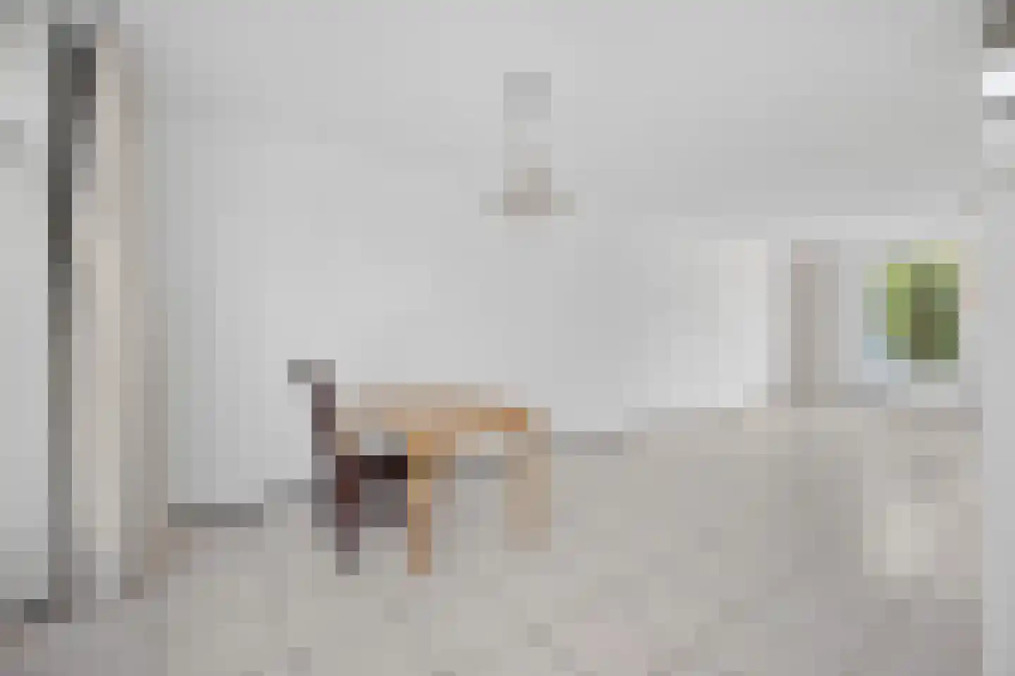 Statenlaan 33 Geertruidenberg thumbnail 16