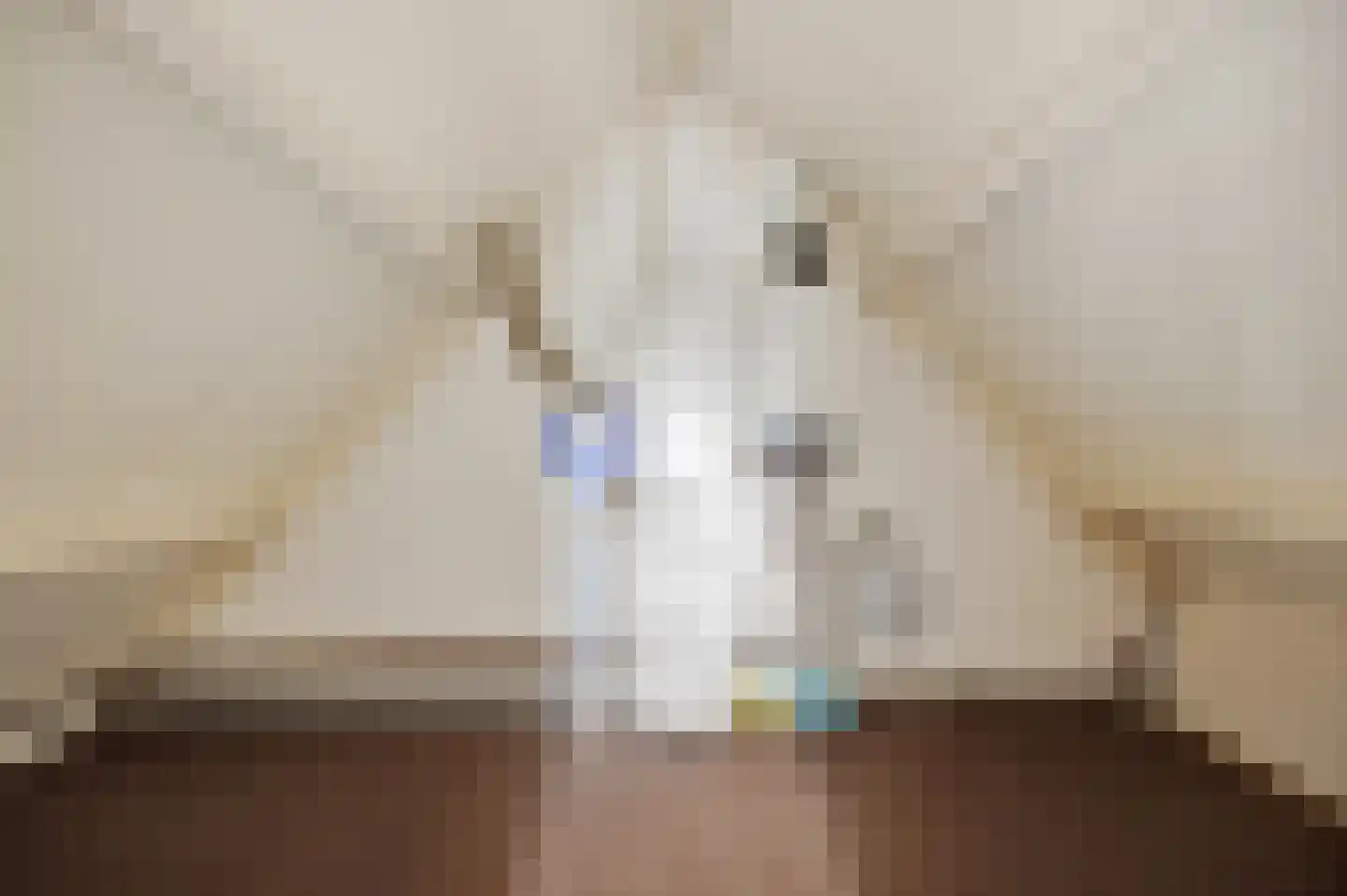Statenlaan 33 Geertruidenberg thumbnail 27