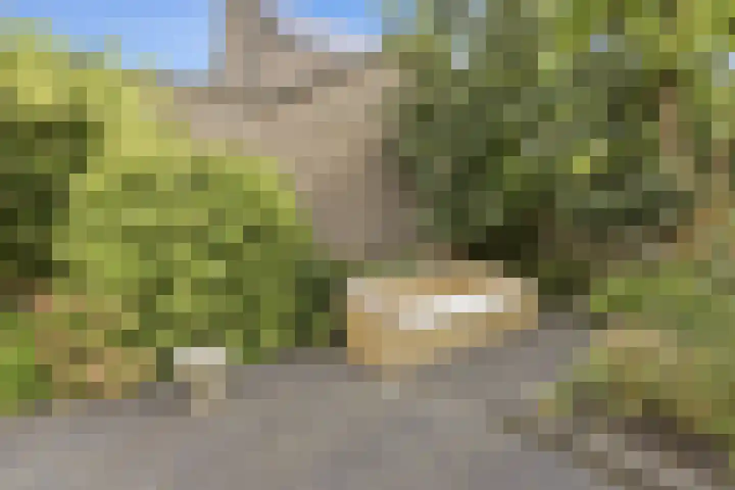 Statenlaan 33 Geertruidenberg thumbnail 29