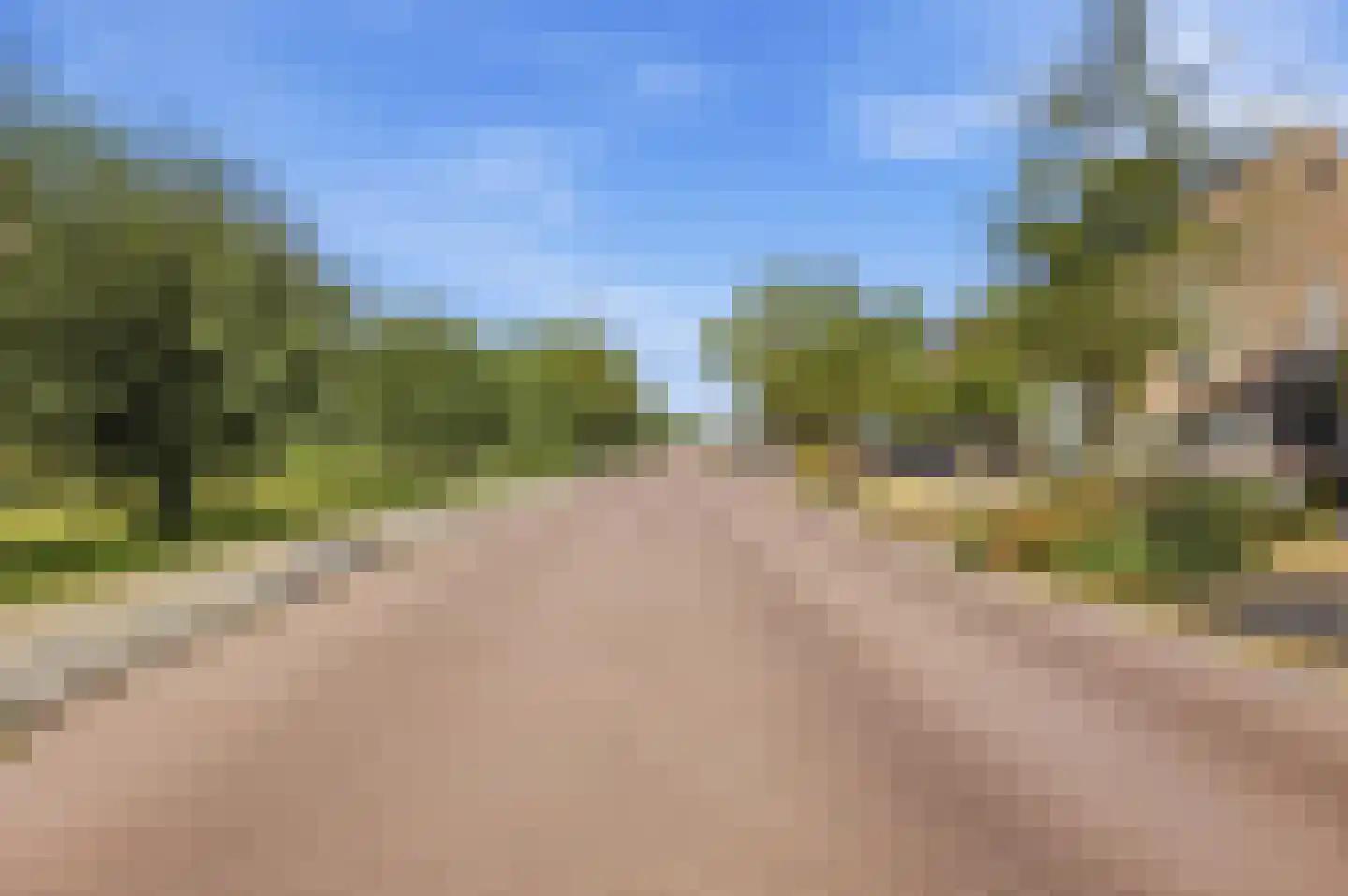 Statenlaan 33 Geertruidenberg thumbnail 32