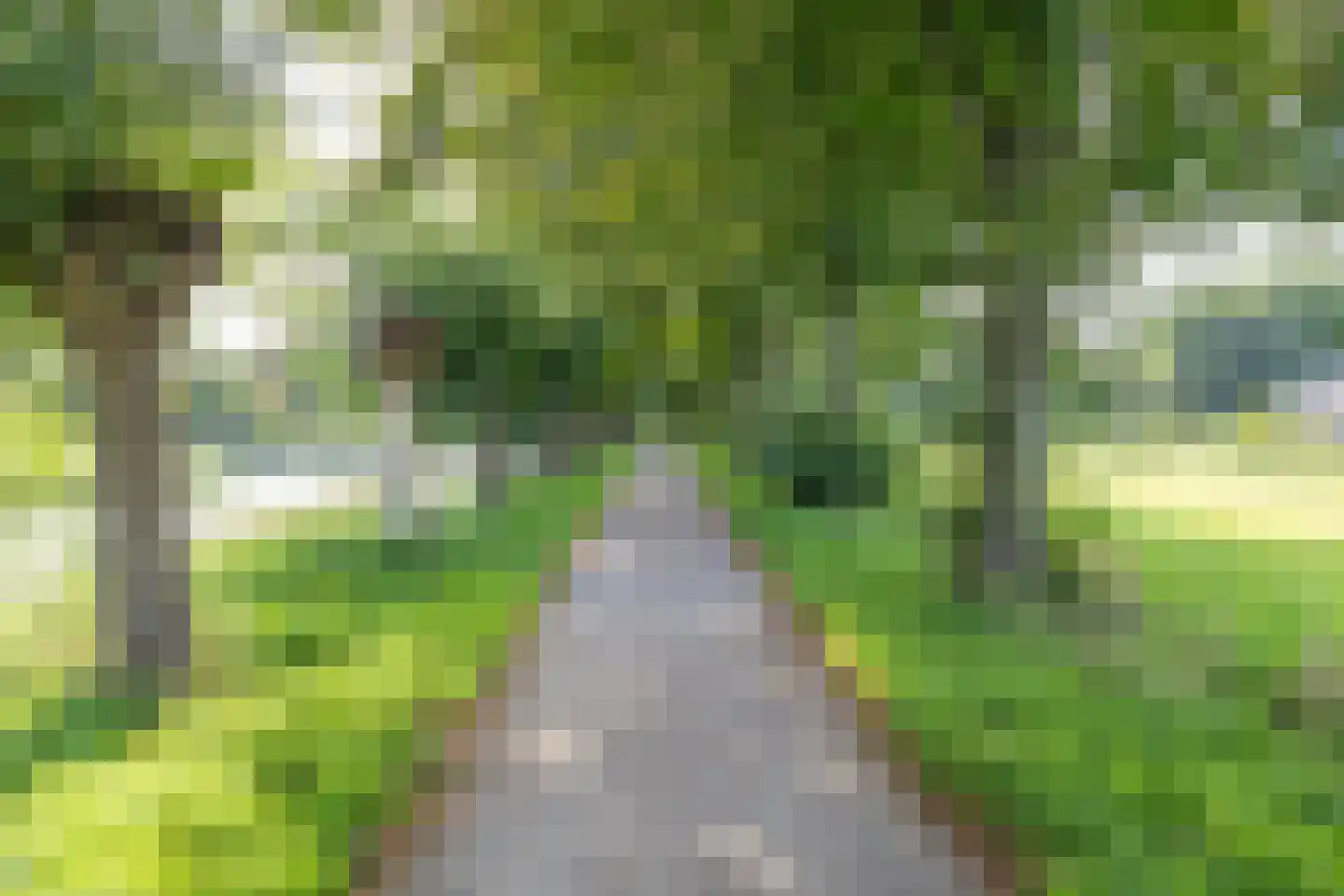 Statenlaan 33 Geertruidenberg thumbnail 35