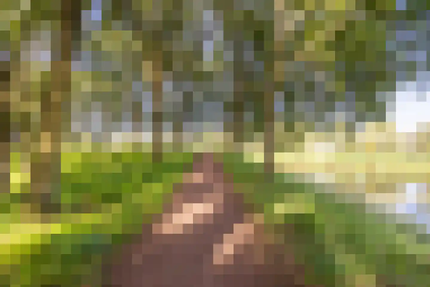Statenlaan 33 Geertruidenberg thumbnail 37