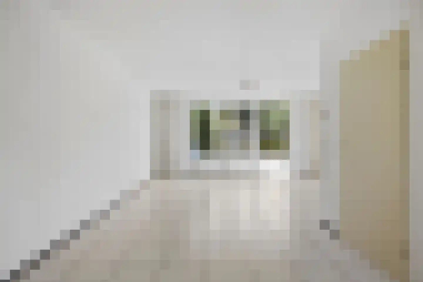 Statenlaan 33 Geertruidenberg thumbnail 5