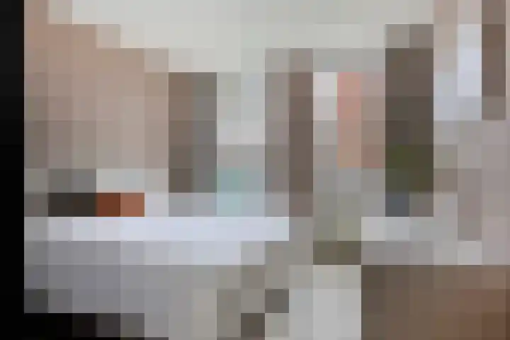 Statenlaan 343 's-Hertogenbosch thumbnail 16