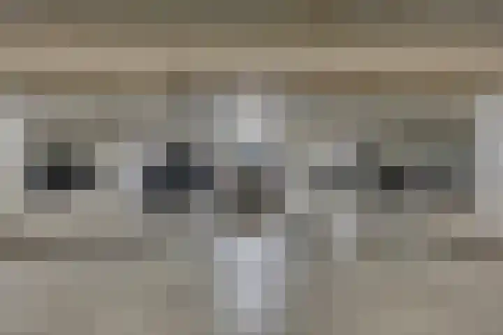 Statenlaan 343 's-Hertogenbosch thumbnail 25