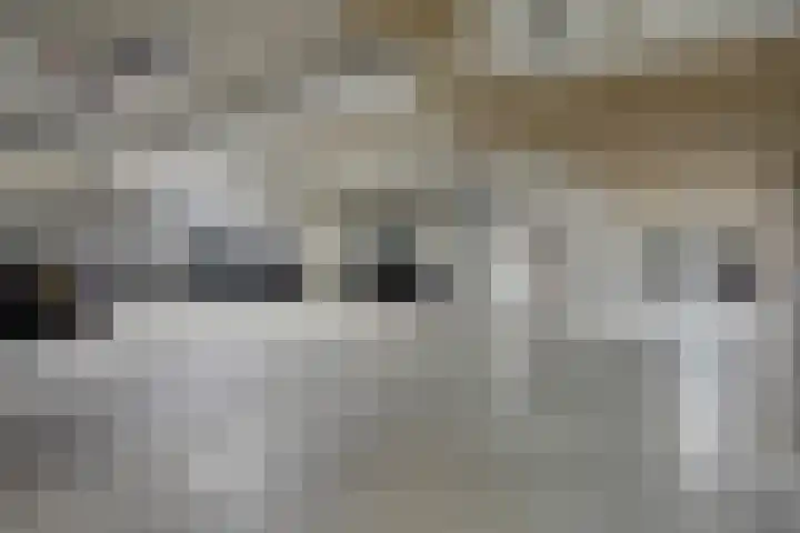 Statenlaan 343 's-Hertogenbosch thumbnail 26